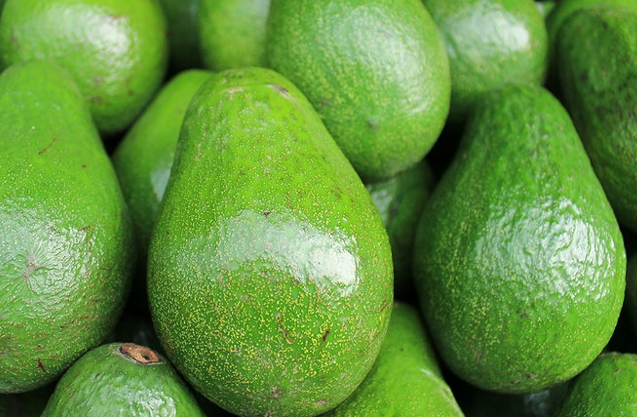 Avocado: The Green Gold Your Body Will Love