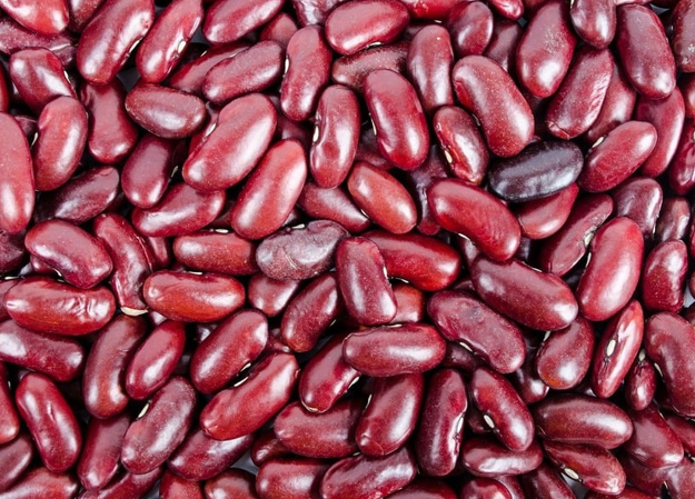 Beans: The OG Superfood Nobody Talks About Enough